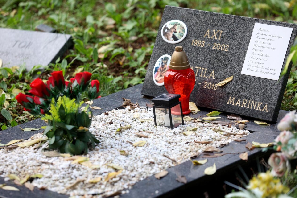 Rijeka: Groblje kućnih ljubimaca na Kozali Rijeka: Groblje kućnih ljubimaca na Kozali