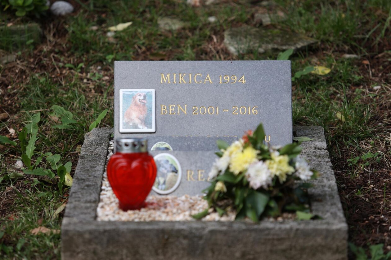 Rijeka: Groblje kućnih ljubimaca na Kozali Rijeka: Groblje kućnih ljubimaca na Kozali