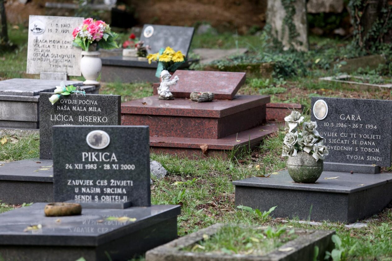 Rijeka: Groblje kućnih ljubimaca na Kozali Rijeka: Groblje kućnih ljubimaca na Kozali