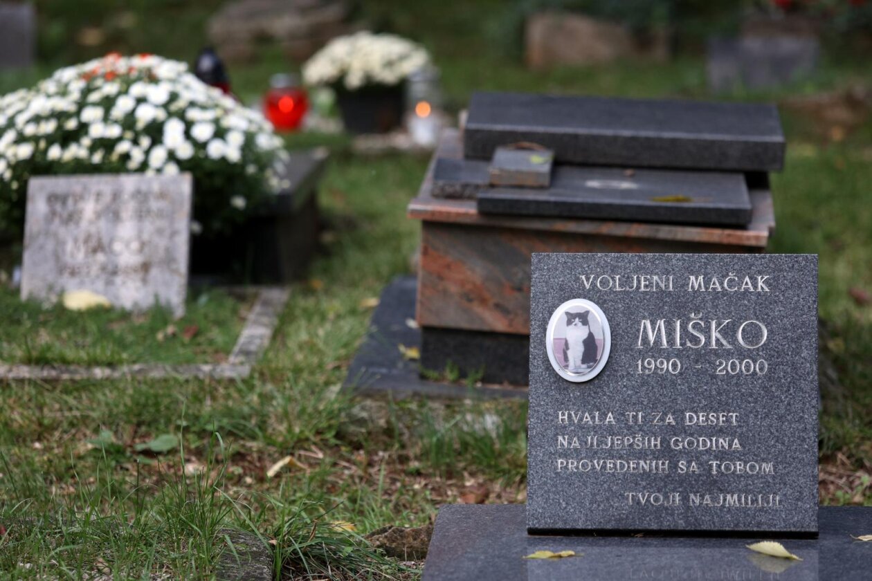 Rijeka: Groblje kućnih ljubimaca na Kozali Rijeka: Groblje kućnih ljubimaca na Kozali