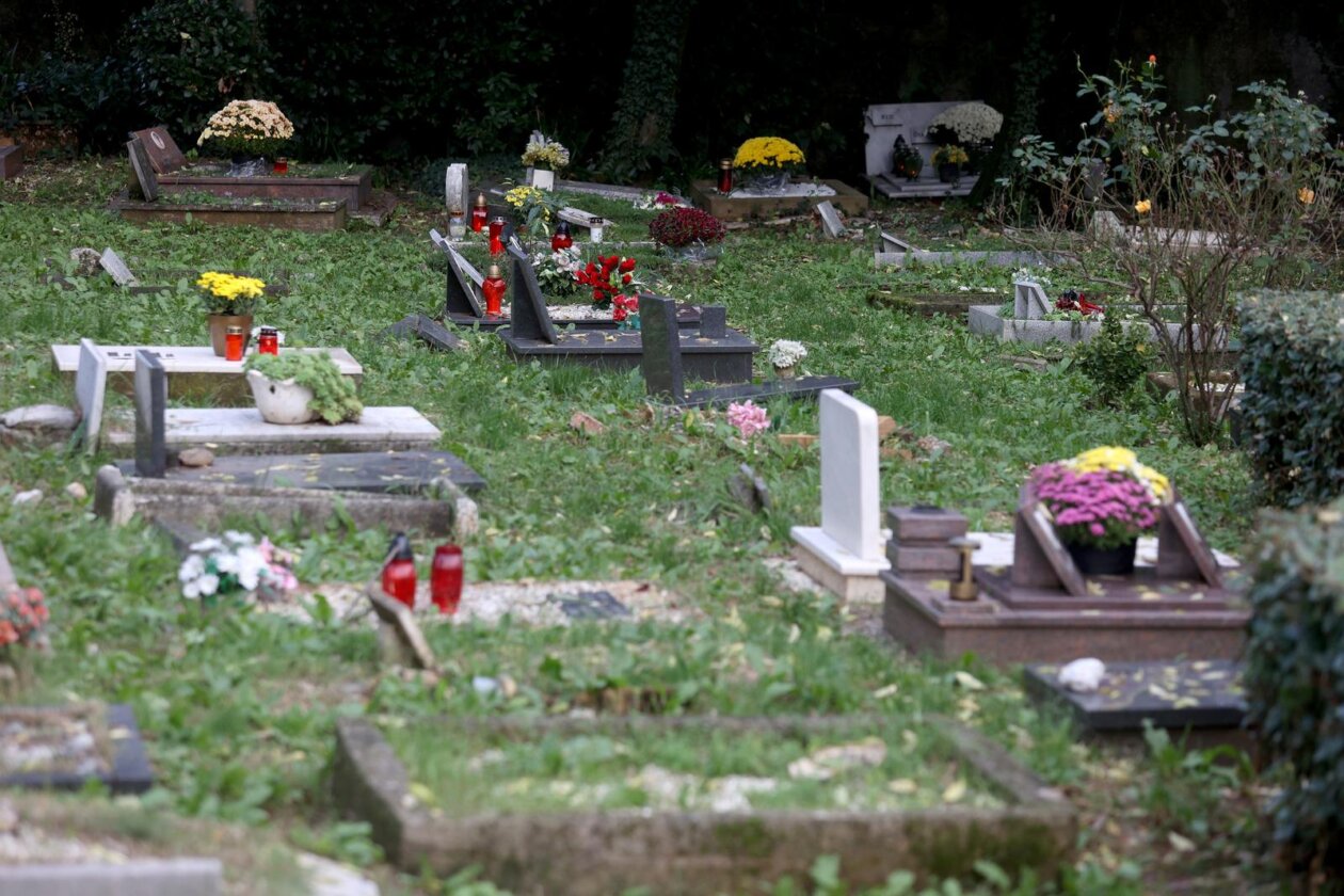 Rijeka: Groblje kućnih ljubimaca na Kozali Rijeka: Groblje kućnih ljubimaca na Kozali