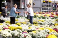 Rijeka: Građani obilaze grobove najmilijih na gradskom groblju Drenova na dan Svih svetih