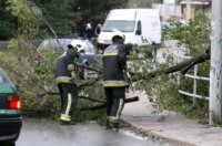 ARHIVA: Na dananji 2013. dan olujna bura s orkanskim udarima  poharala je Rijeku