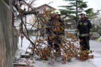 ARHIVA: Na dananji 2013. dan olujna bura s orkanskim udarima  poharala je Rijeku