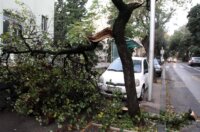 ARHIVA: Na dananji 2013. dan olujna bura s orkanskim udarima  poharala je Rijeku