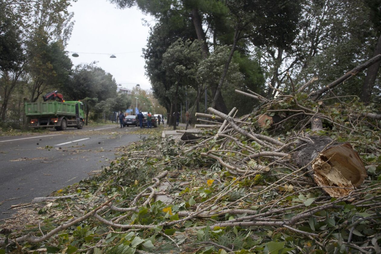 ARHIVA: Na današnji 2013. dan olujna bura s orkanskim udarima  poharala je Rijeku