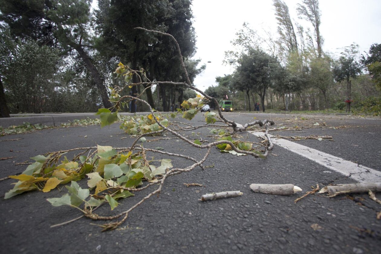 ARHIVA: Na današnji 2013. dan olujna bura s orkanskim udarima  poharala je Rijeku