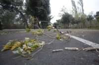 ARHIVA: Na današnji 2013. dan olujna bura s orkanskim udarima  poharala je Rijeku