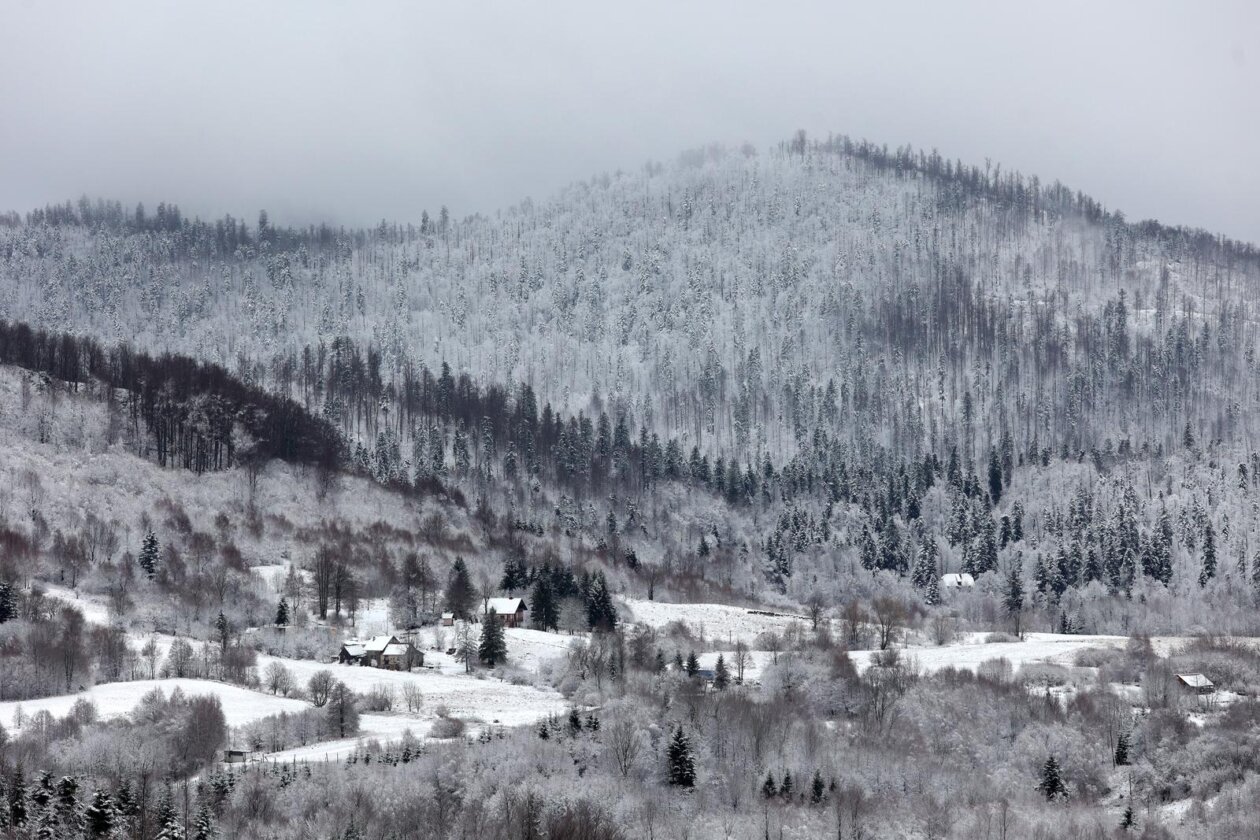 Snijeg je zabijelo Gorski Kotar