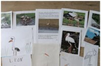 Pe-pita-o-rodenju-768×1024 Pe-pita-o-rodenju-768×1024