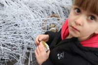 Postavljanje-ukrasa-na-Adventski-vijenac-19