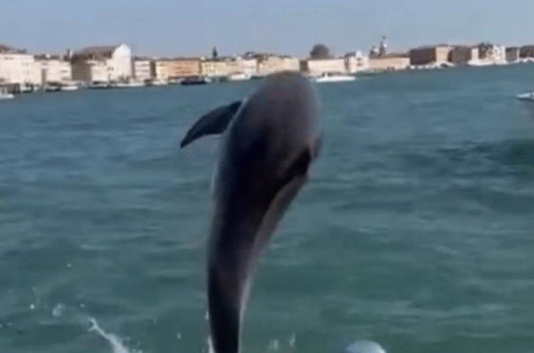 Screenshot 2025-11-07 at 16.44.11