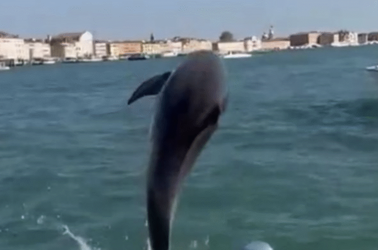 Screenshot 2025-11-07 at 16.44.11