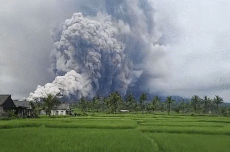 Screenshot 2025-11-19 at 1.42.05 PM