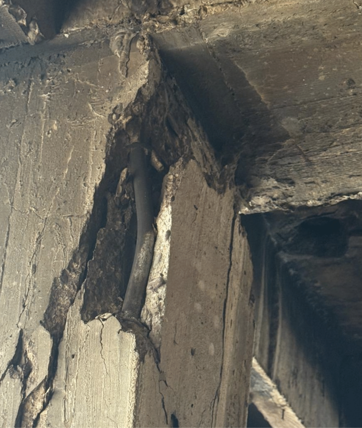 Screenshot 2025-11-25 at 12.54.43 PM