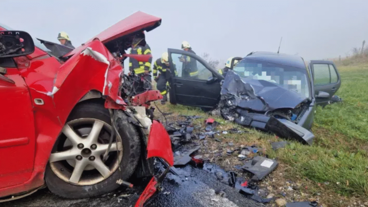 Snimka zaslona 2025-11-06 095904