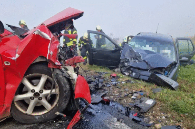 Snimka zaslona 2025-11-06 095904