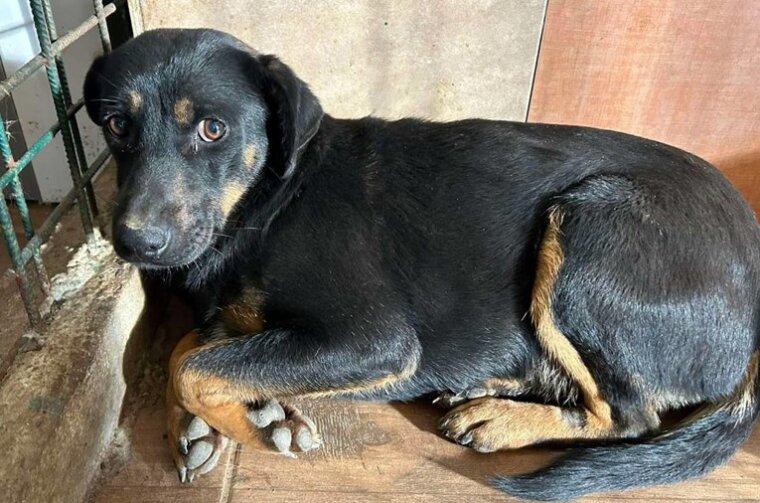 e9396d78-d482-4d47-ba24-6e197242f896