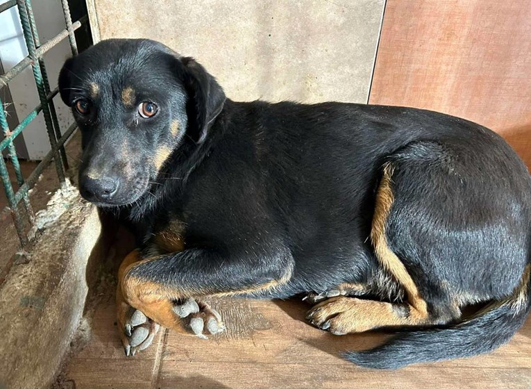 e9396d78-d482-4d47-ba24-6e197242f896