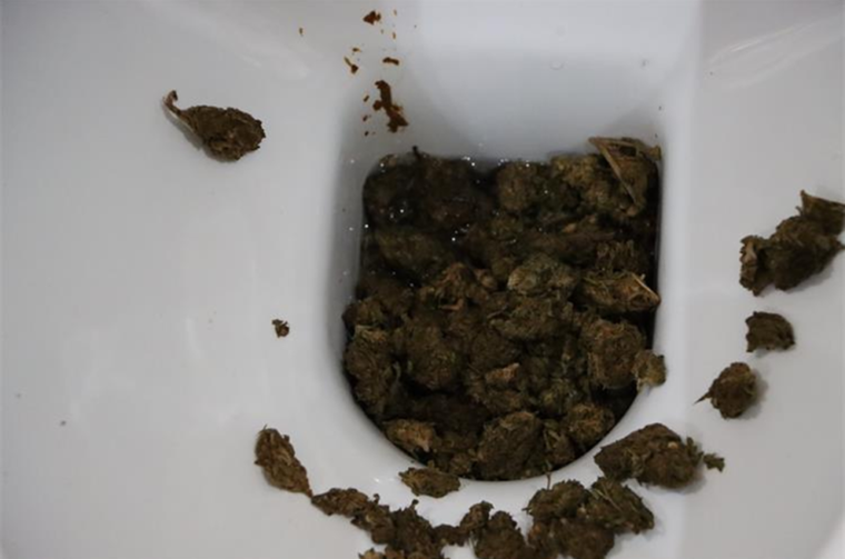 fa638996-2382-441f-b268-8c5c7f2efcb8 fa638996-2382-441f-b268-8c5c7f2efcb8