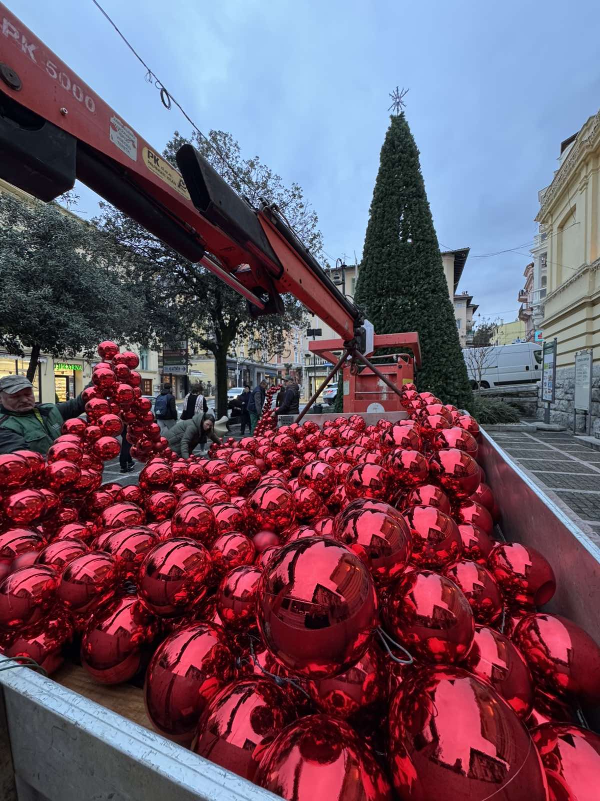 mrkat opatija advent bor (1)