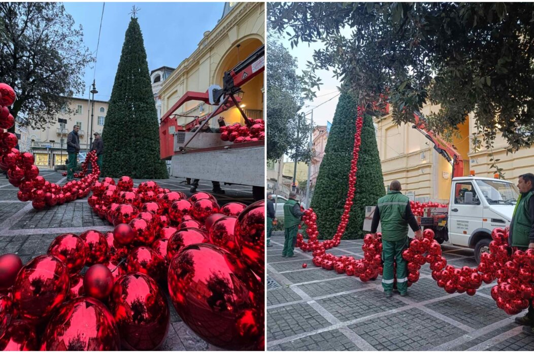 mrkat opatija advent bor (2)