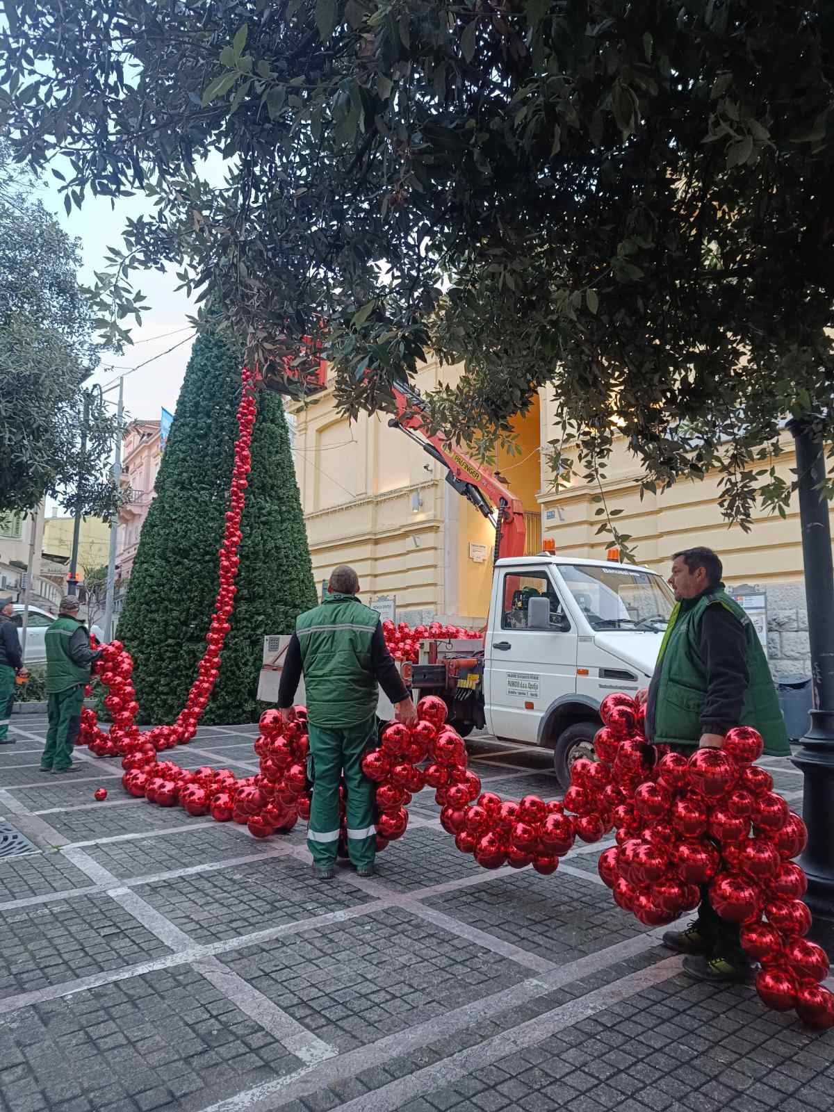 mrkat opatija advent bor (4)