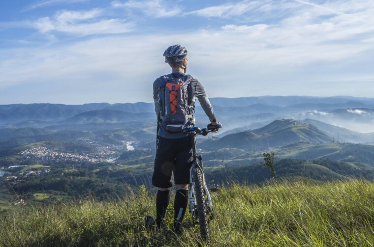 pexels-pixabay-161172