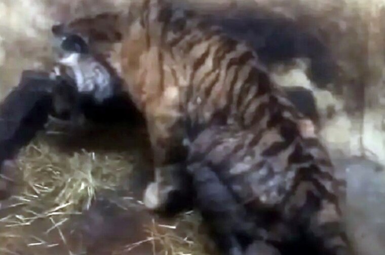 0486f1d6-cf28-4f1a-9b6b-1d46e3df524e 0486f1d6-cf28-4f1a-9b6b-1d46e3df524e