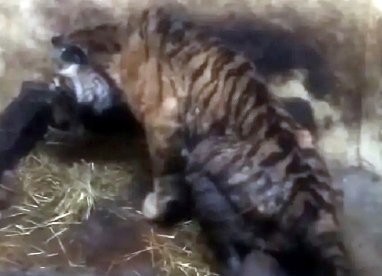 0486f1d6-cf28-4f1a-9b6b-1d46e3df524e