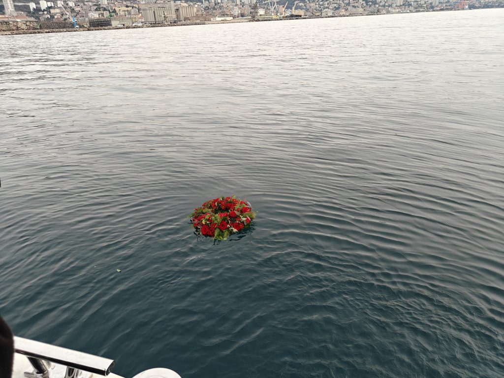 17142-1-1024×768 17142-1-1024×768