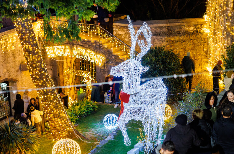 2025-11-30 GRADINA ADVENT-81 2025-11-30 GRADINA ADVENT-81