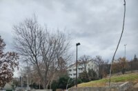 20251216_120307-768×1024