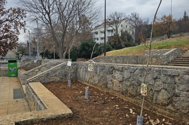 20251216_120307-768×1024