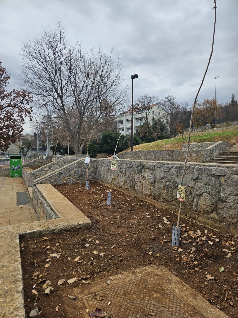 20251216_120307-768×1024