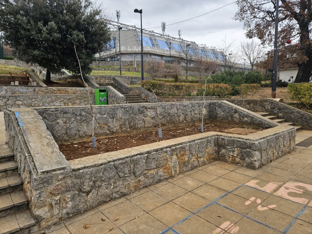 20251216_120356-1-1024×768