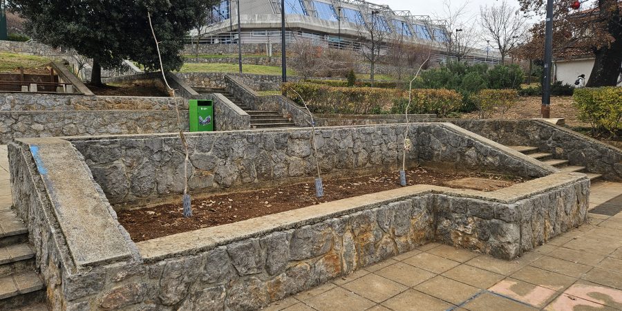 20251216_120356-900×450