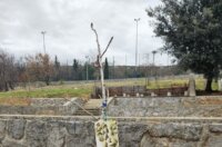 20251216_120431-768×1024