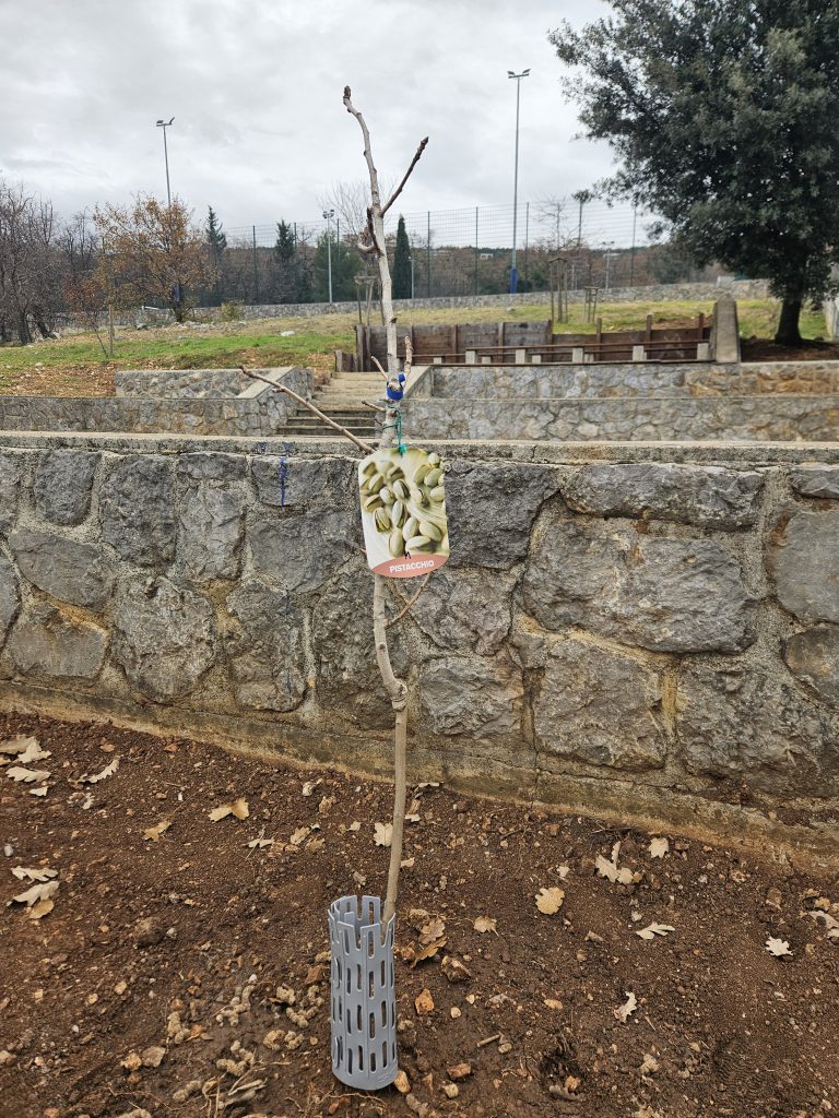 20251216_120431-768×1024