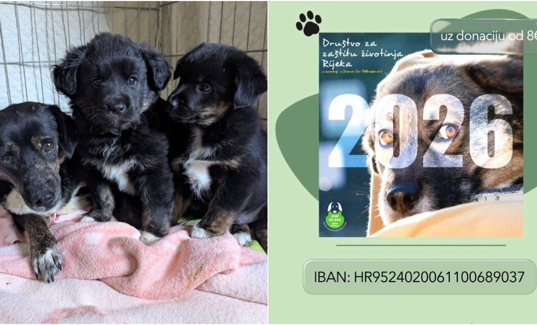 BeFunky-collage (34) BeFunky-collage (34)