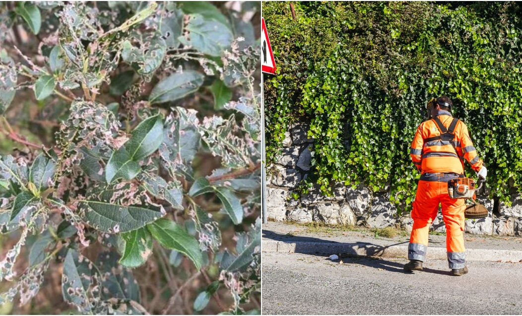 BeFunky-collage (67)