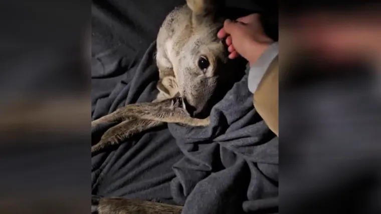 H-b44e9619-e0bb-483a-ba70-bd4ebb9d322f-760