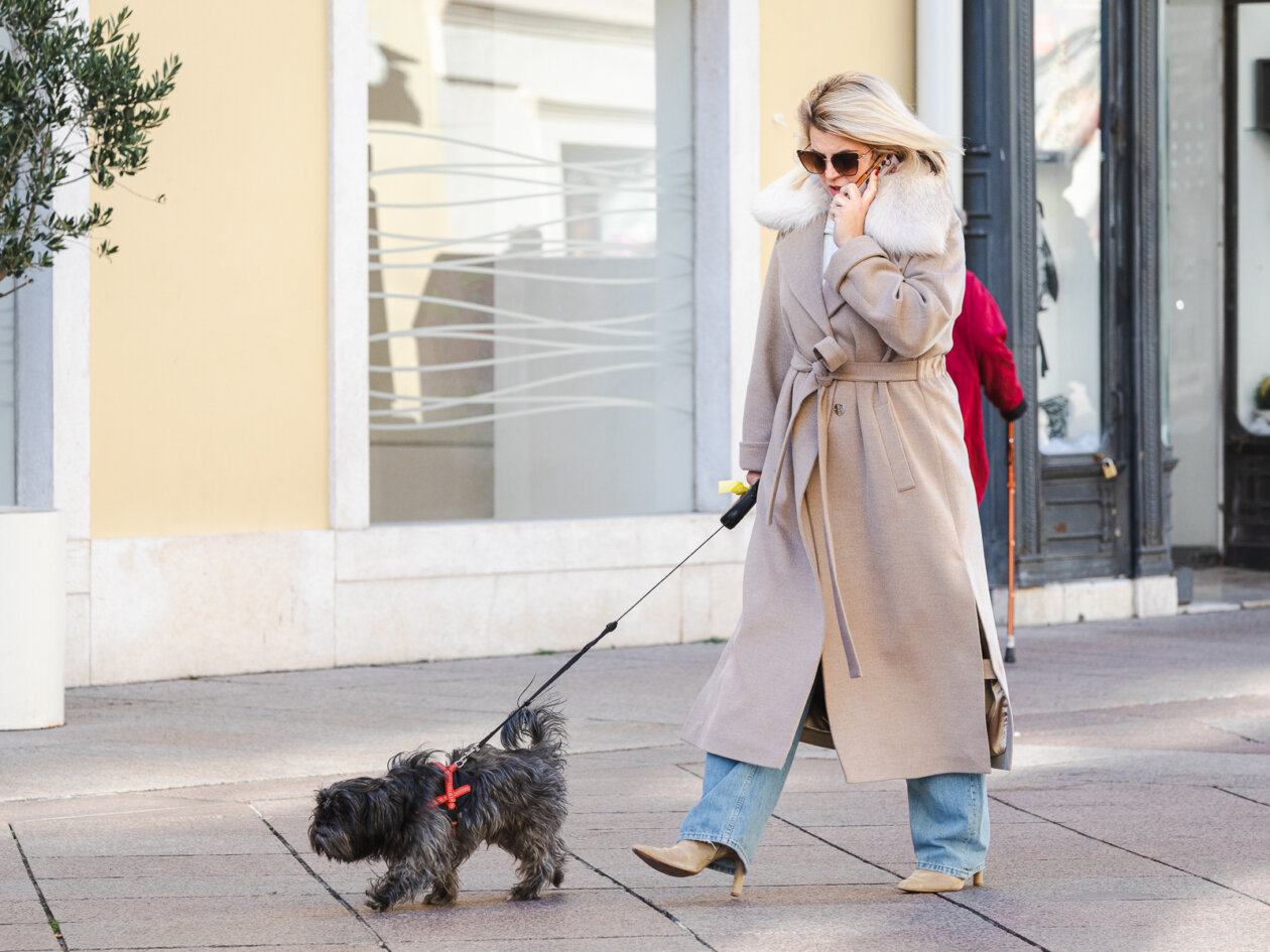 Klikom po Korzu 12.12.-4277 Klikom po Korzu 12.12.-4277