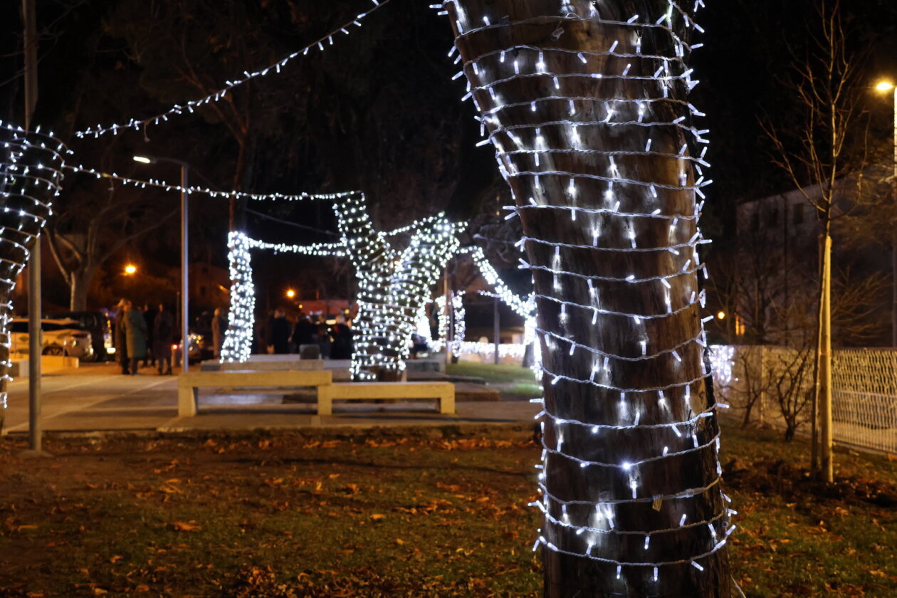 Kvartovi-svjetla-Drenova-2