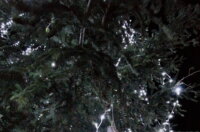 Kvartovi-svjetla-Pehlin-1