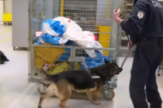 LS-61082958-650c-487b-b0ec-ce9660e78350-550