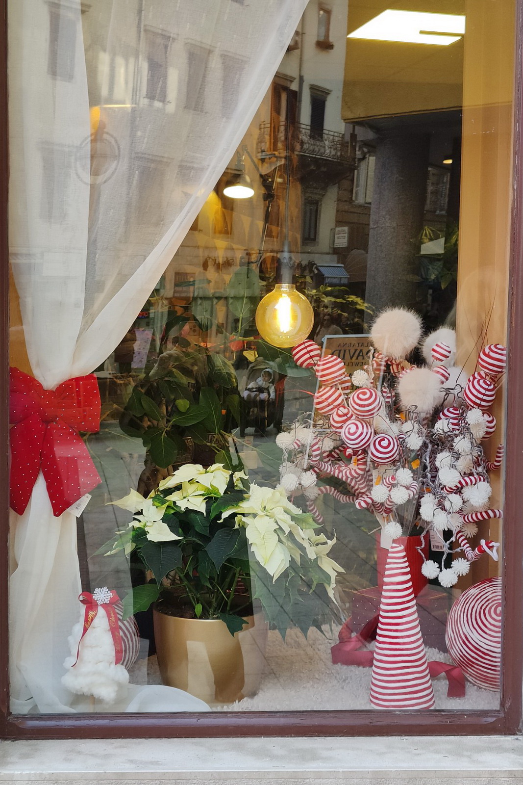 Najljepsi-izlog-cvjecarnice-Cicak-2