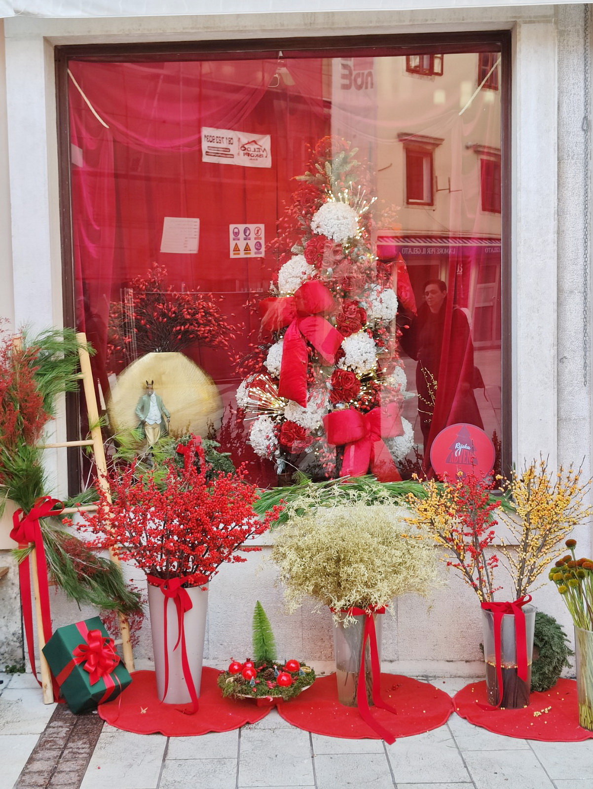 Najljepsi-izlog-cvjecarnice-Cicak