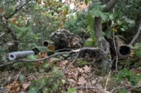 O-875384-550 O-875384-550