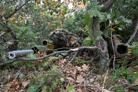 O-875384-550 O-875384-550